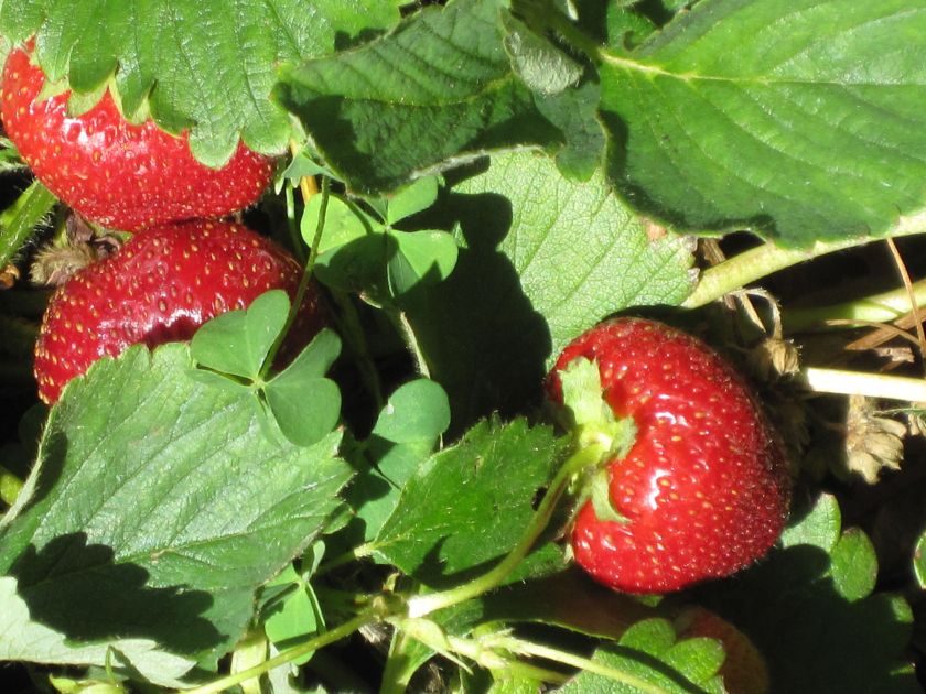 0827BC17-43E4-421C-8308-507A53E0DBD8