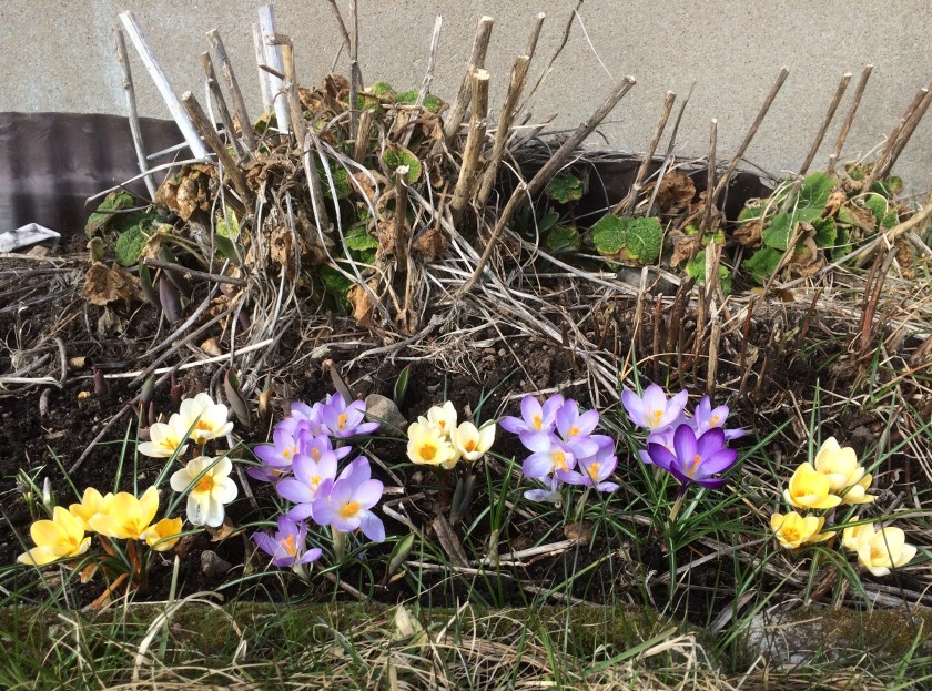 1528478C-7873-4892-96B1-6E39A03C6028