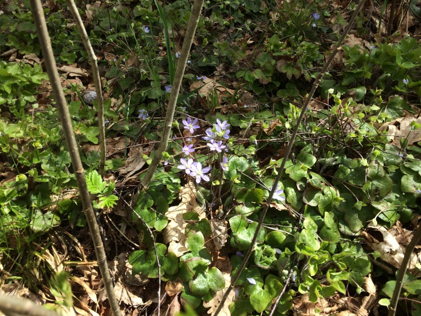 18648B23-28FE-41A5-AA11-C26087AA0A5C