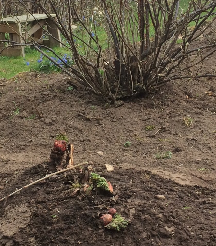 475CDDBF-F0E7-43BC-92DE-7CFD837E31C9