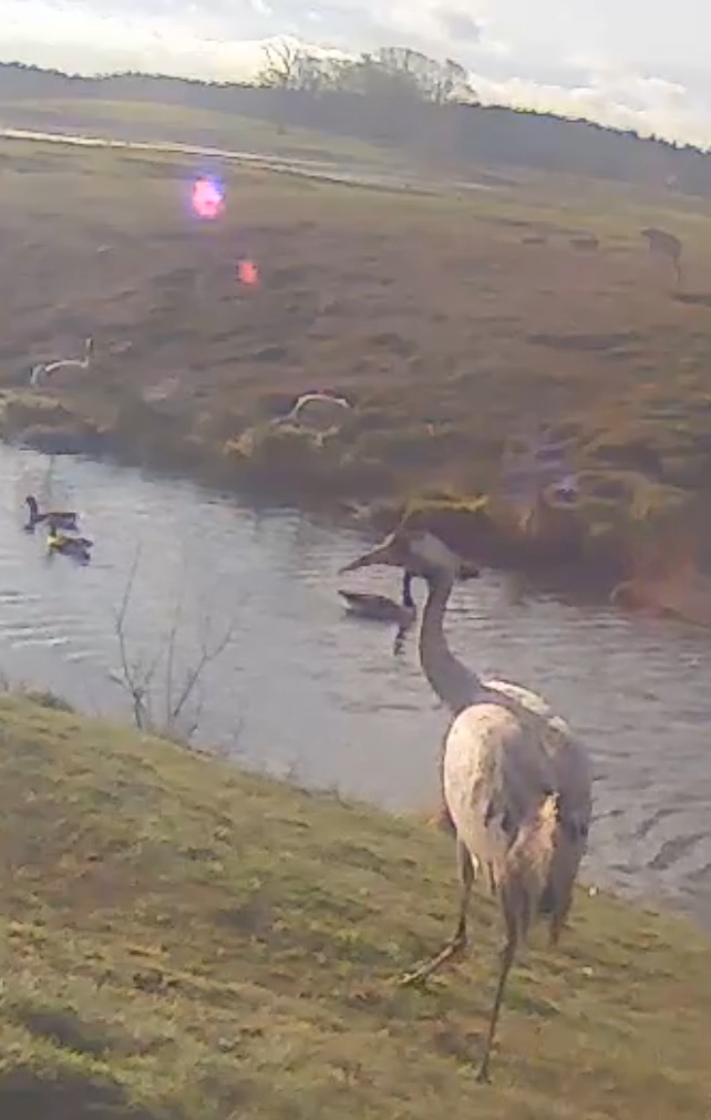 491473F3-85D0-41E5-9213-957400B5FE13