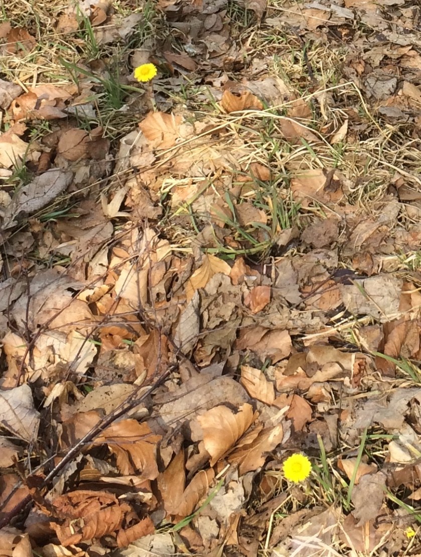 5A594571-AAC3-48B5-93B9-32B3B6EF2998