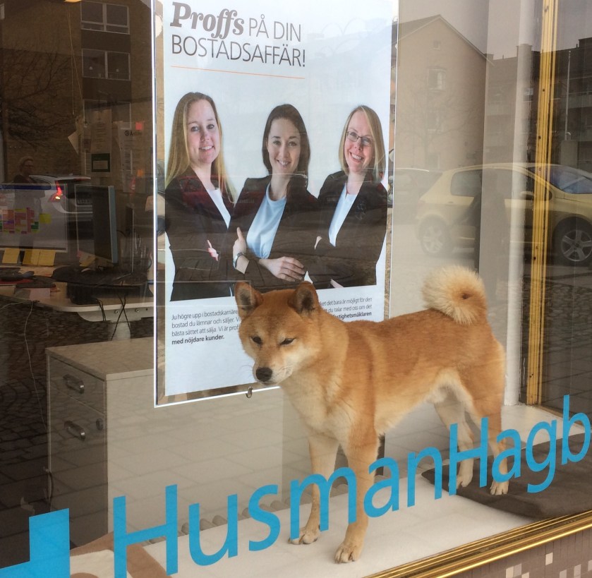 6B626A18-8CAD-4FA1-A5AE-18832AA2288B