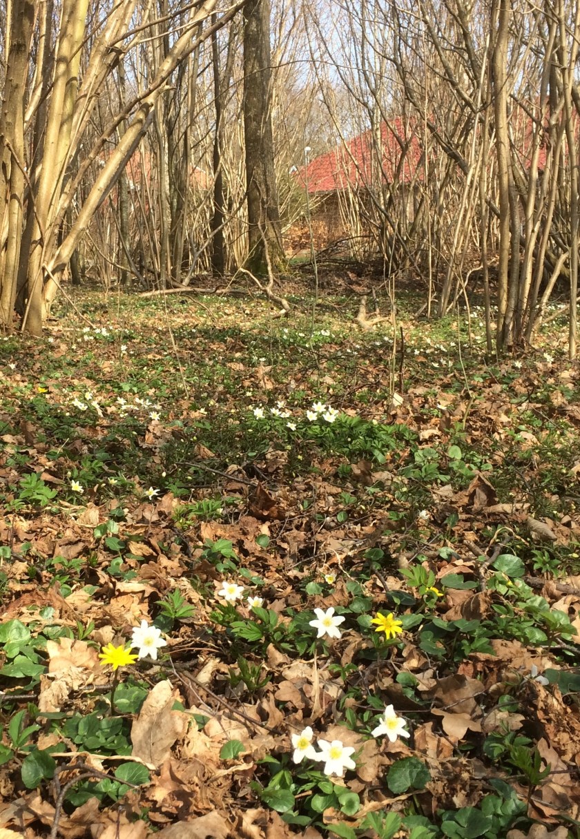 8B6FCF97-CD15-4A01-BBB2-656E3BFE9547