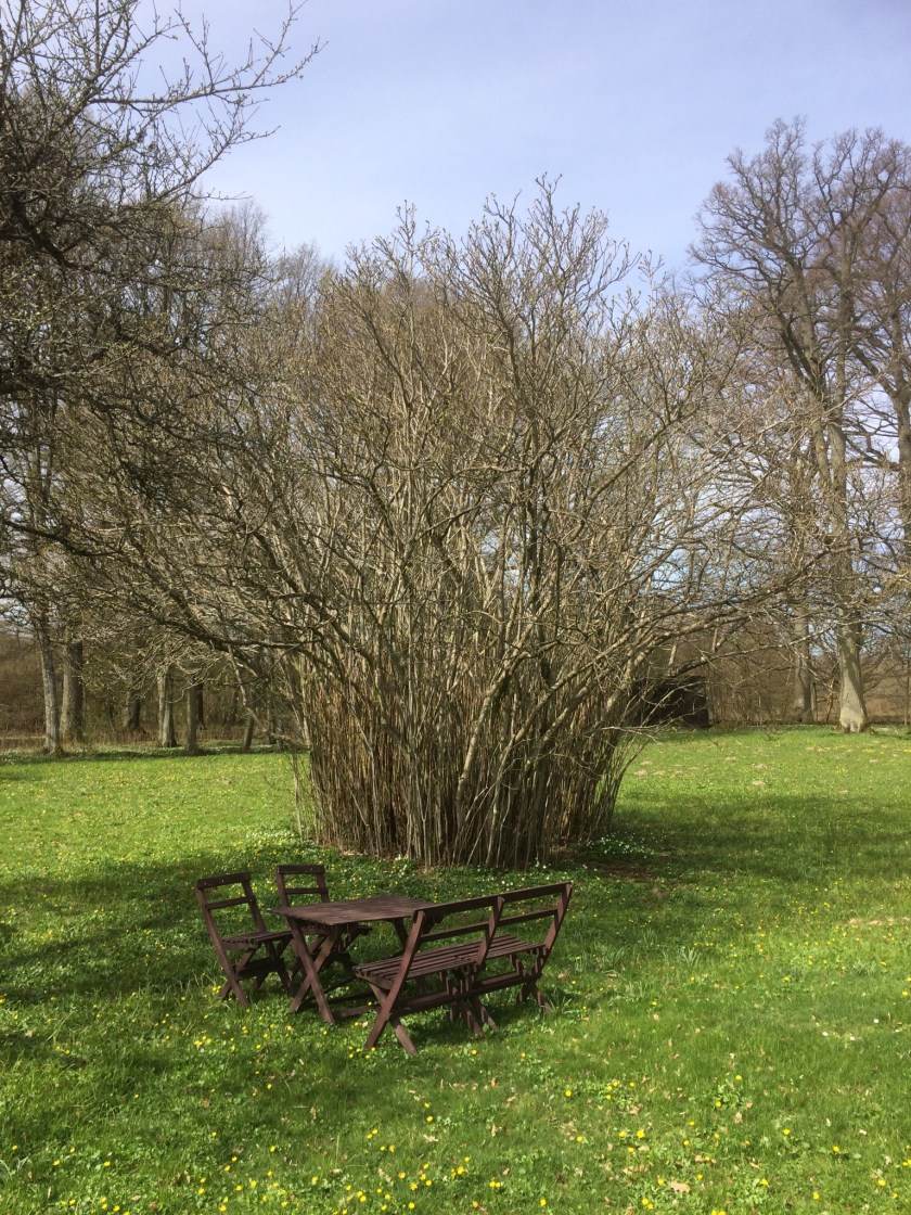 B741A107-13DF-4E1A-8998-5E70FF29FEF3