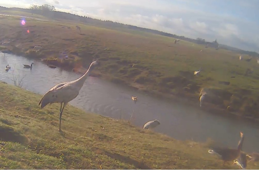 E658F5C3-999B-4FF3-BE81-36680C036354