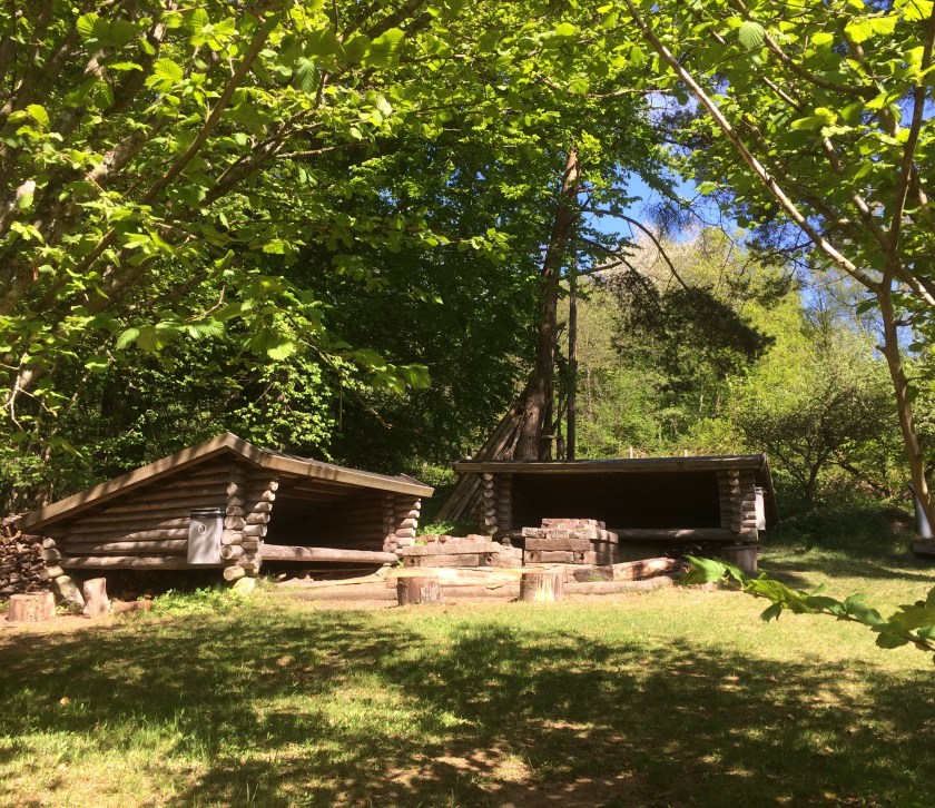 31D1C1D6-279F-46AB-A411-16490CDA50C0