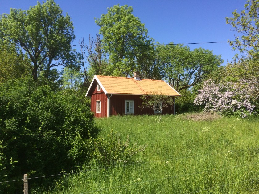 3F7C57A1-894F-4083-A3D6-88D3613DA153