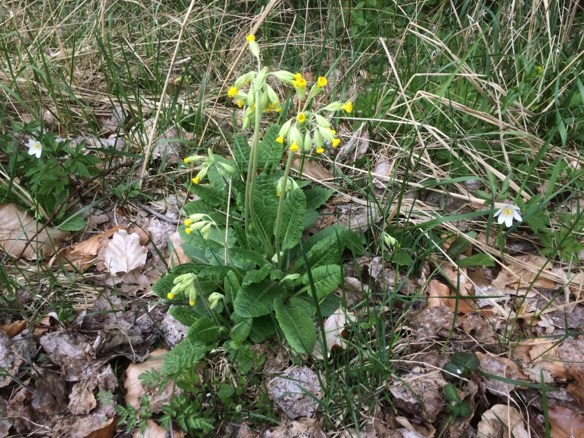 40A1AEDA-732C-4471-8B4A-2443FFEEC4CB