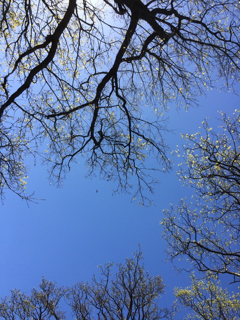 43513455-A94D-4F84-B14B-72F33C31A98A