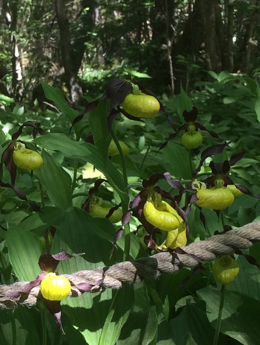 454C5E64-3916-435C-82A0-04A800188A9D