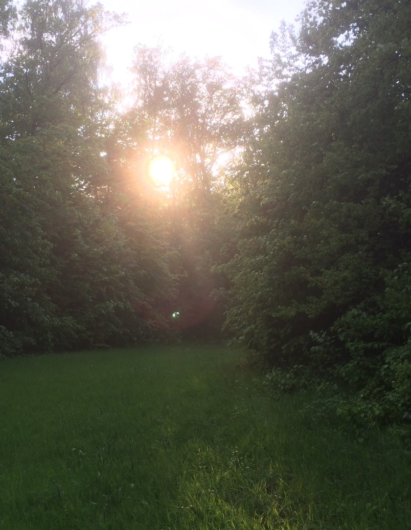 5600D81F-90CA-4F46-84CF-3B7A4AD56791