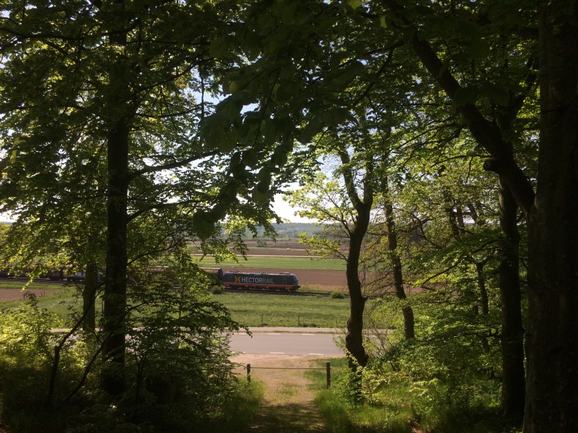 60D4FC6B-73BC-476D-AB17-93F1D477BEE6