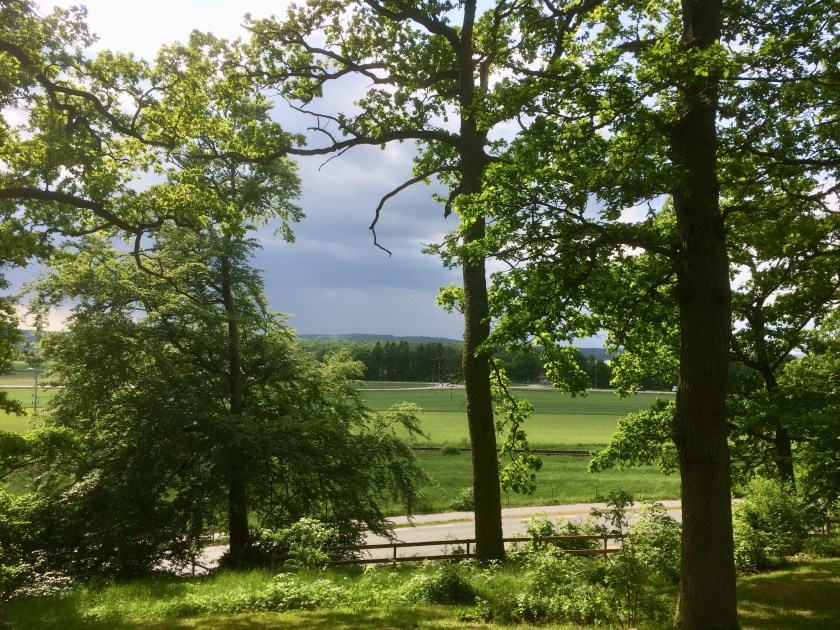 6C6A52A4-87BF-4FDF-A23B-F503F2722D0C