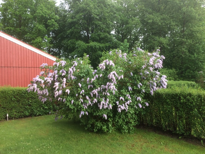 72C0CC3E-3591-4993-913F-86DB6665CBC4