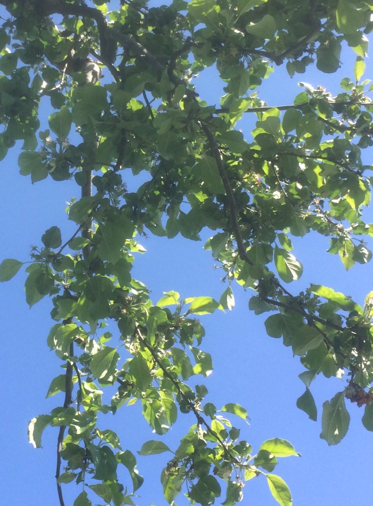 7F7887A3-DD67-4B73-8BBF-4AC828160068