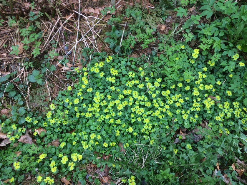 87B51225-4272-41C9-AA60-4CA05052D32B