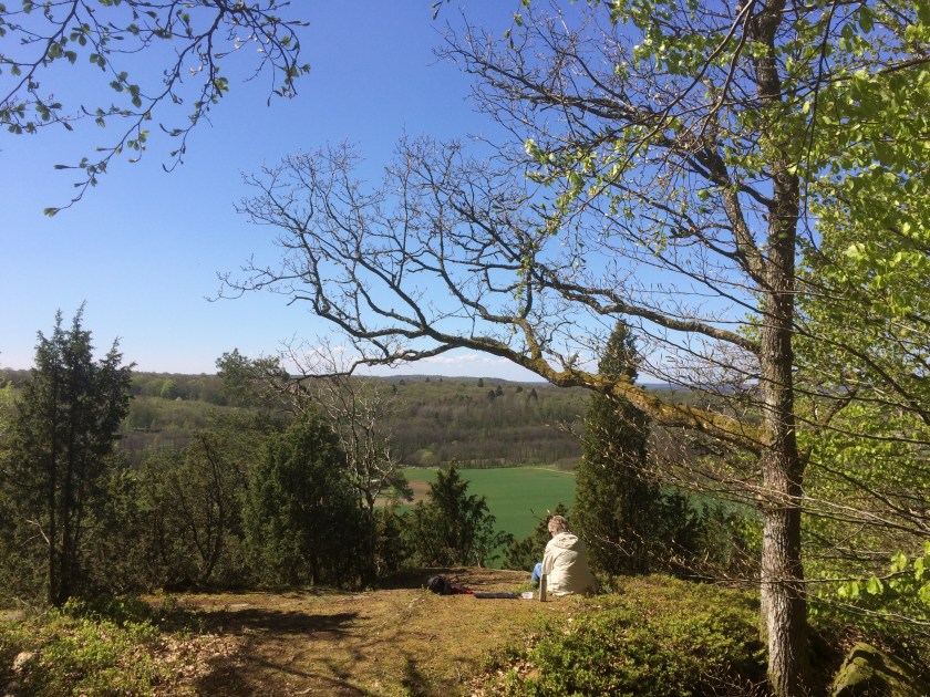 93B34798-1295-4B9F-A914-4AAEB3D24797