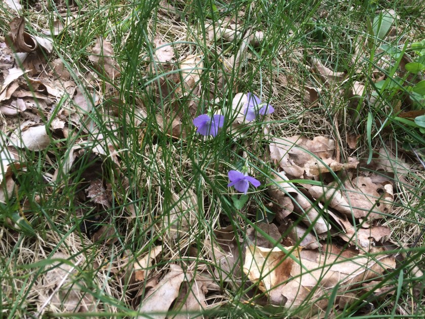 9D0AE15F-149C-4B97-AC21-5733BC587122