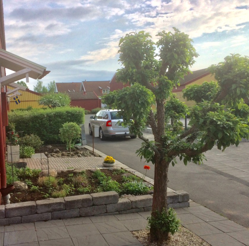 9FEFE0E3-8EA2-4273-804C-7E1E33C07B84