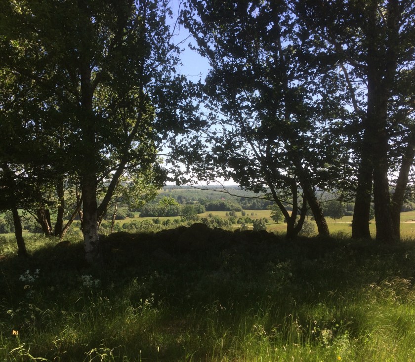 C58F4029-51E8-4F1D-9136-BACE8AD7E610