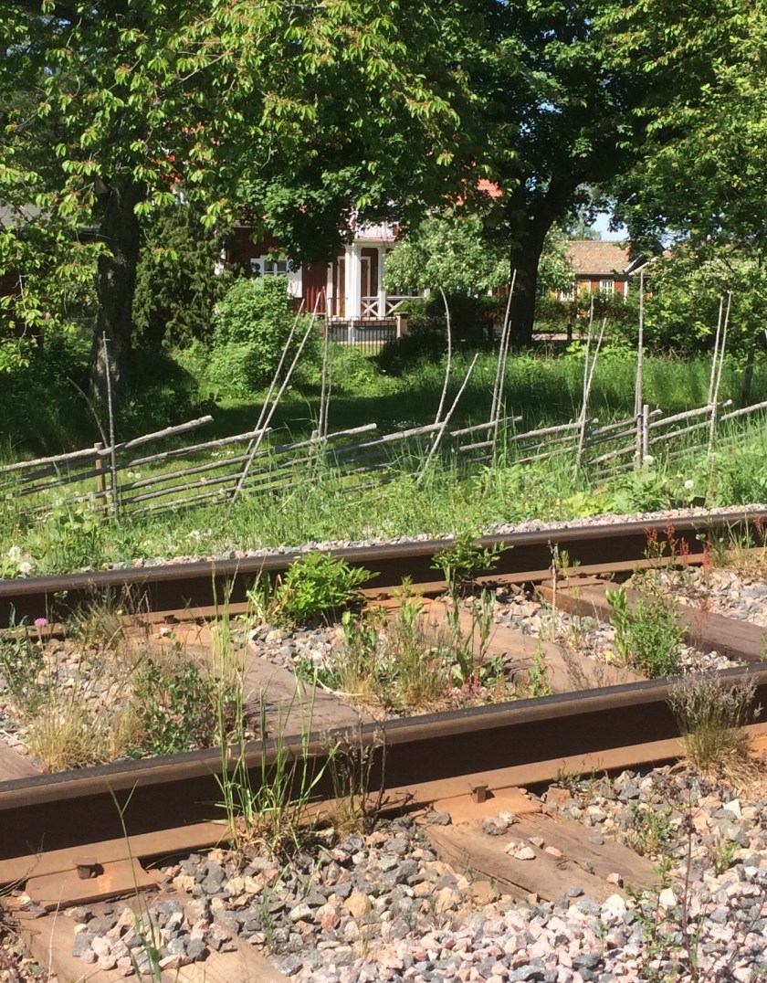 DAF51460-2F30-4D68-A28C-8FBA3E84FE13