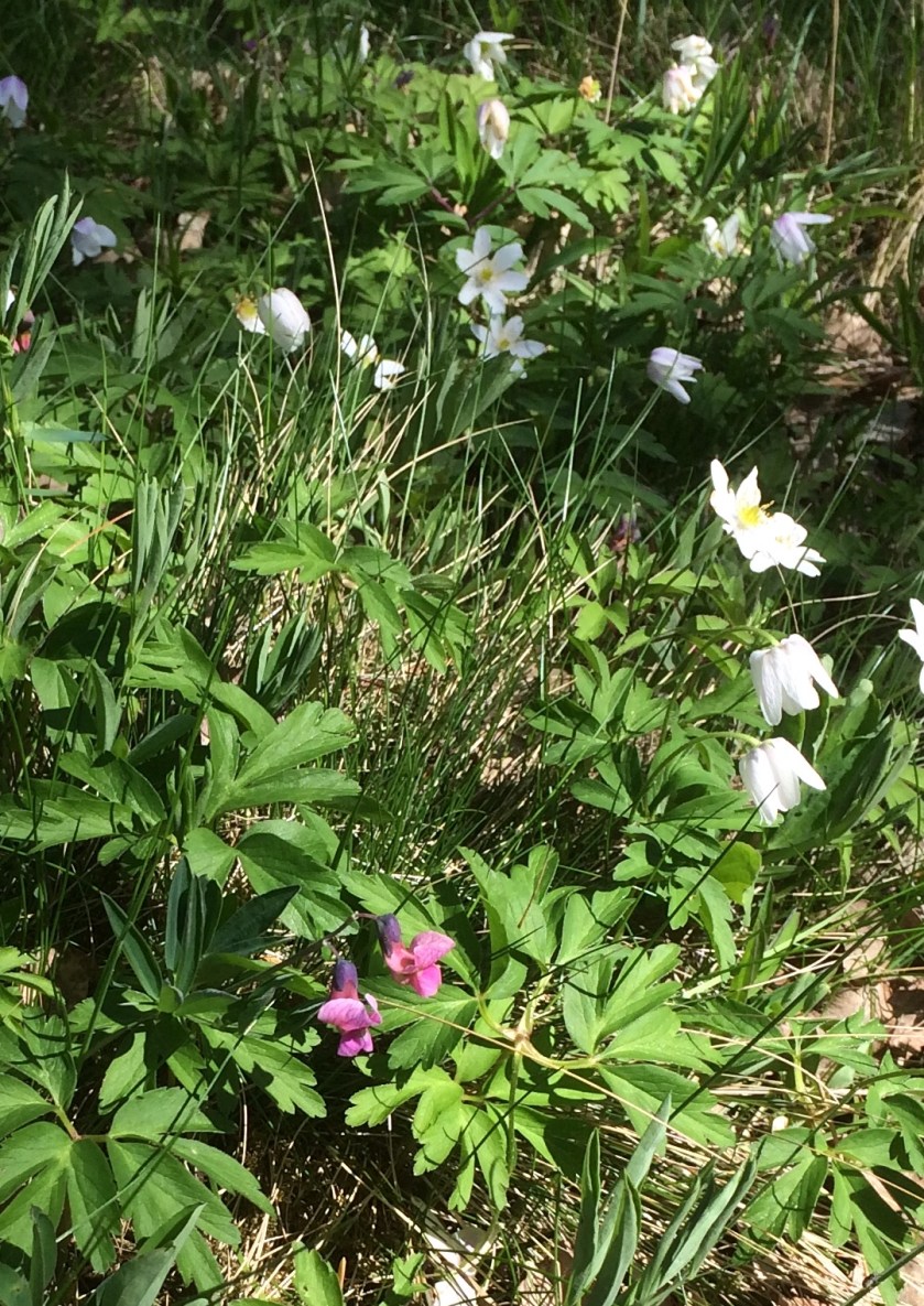 DF90BC2E-5689-4E90-A7D6-7ECE08DC4D0A