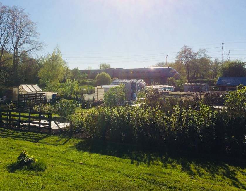 E030FED9-DD38-4718-860C-A8A4DA2919BD