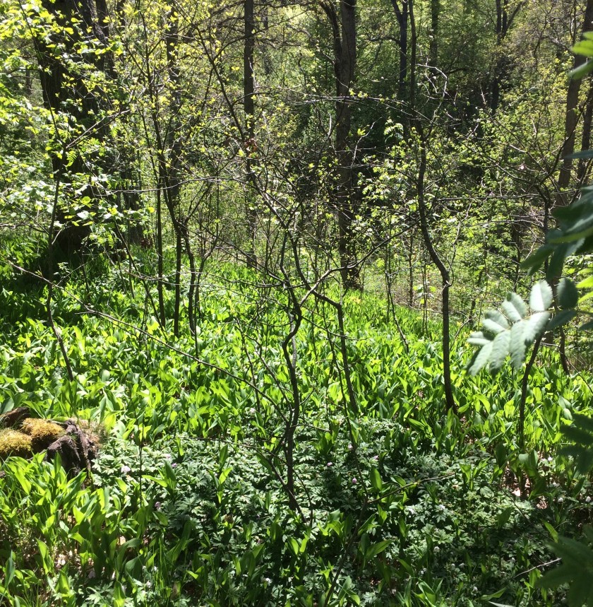 F2353FFF-6271-49BE-9DEE-D20325C8B7D2