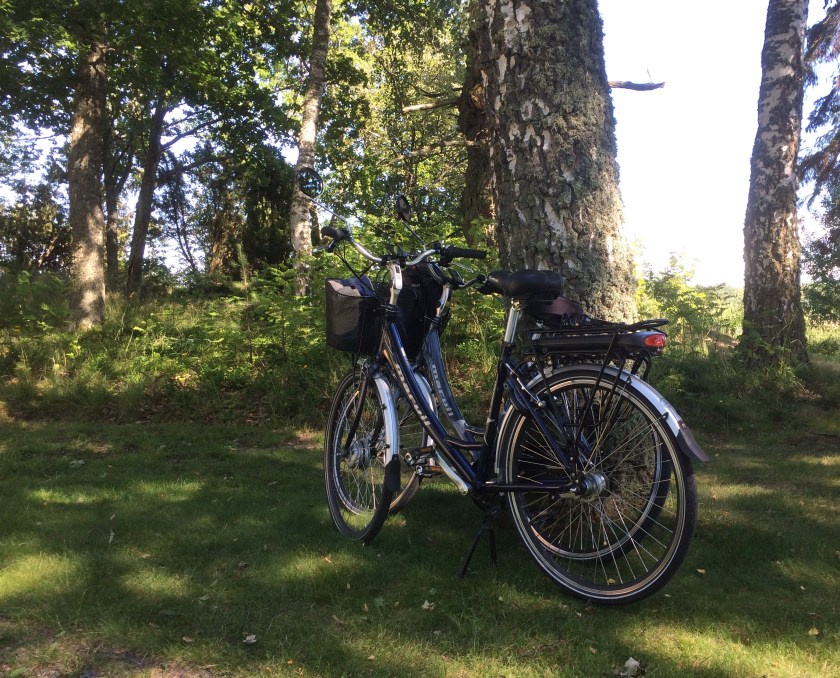 02F39BFB-FC76-4582-9645-721C12A64B24