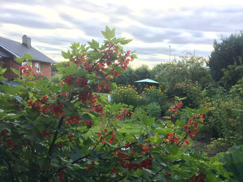 06B9050F-09A4-49BB-AD92-027D14AF9862