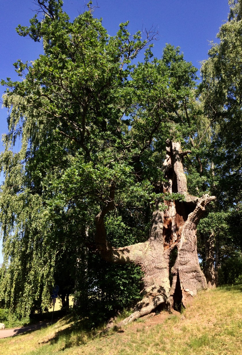 11E89847-CC05-4D7C-8D1B-FA03AA7CEEF6