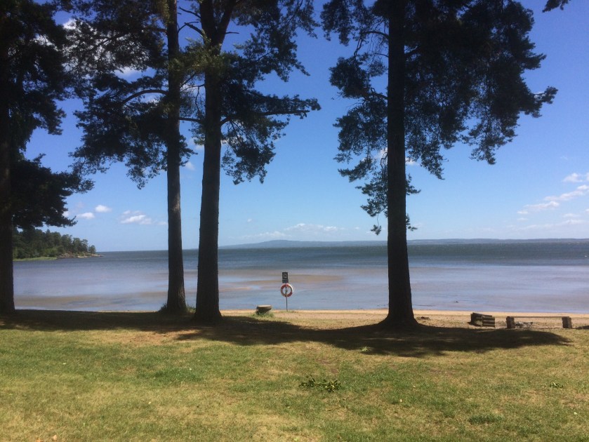 190CF458-9795-4DE3-A17D-E5B34F590743