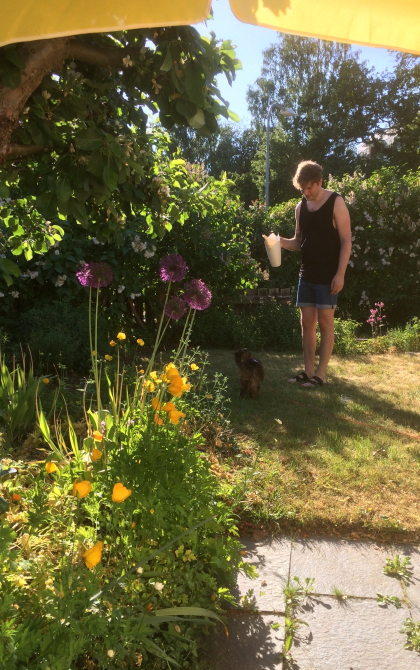 1B19AEBD-B5E9-445E-A45A-DB1ABBBB3D23