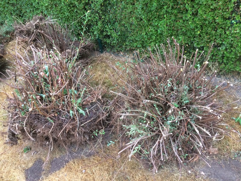 23E2828A-16E4-4576-AFA9-DCEDC0832DB6