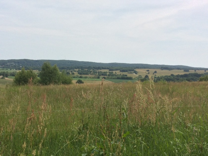 433F72BB-D640-43B9-93BD-13EAD59EC1BB