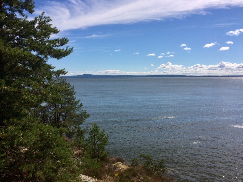 521D4174-6E16-4312-9E8F-569999774DA7