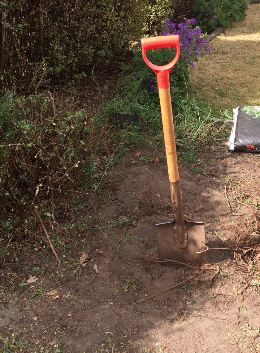 53054559-BAF6-44D2-8582-15AF1C584505