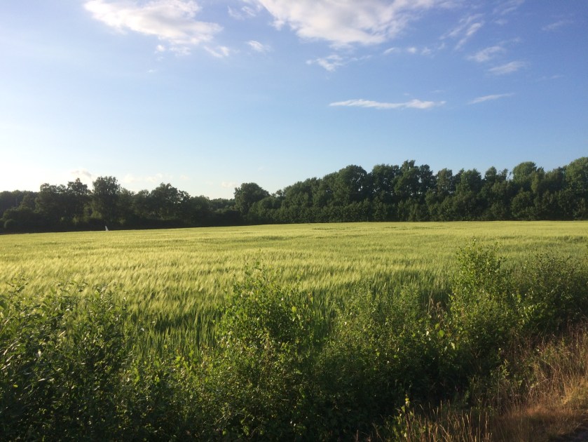 596FE8CA-1241-4764-BA90-08FE50E94878