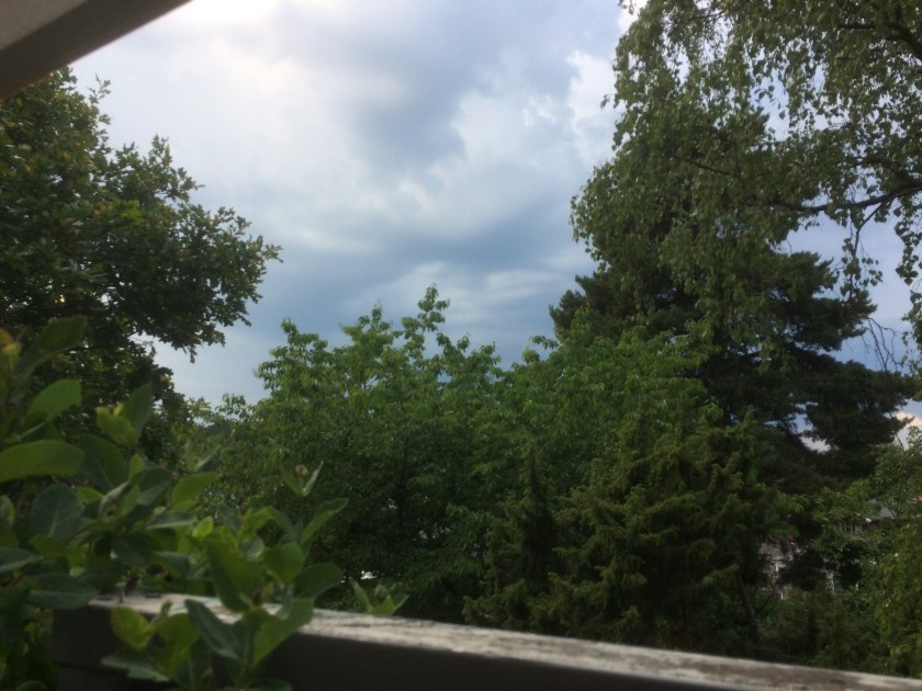 65716320-84B2-4711-92F6-942B434DD549