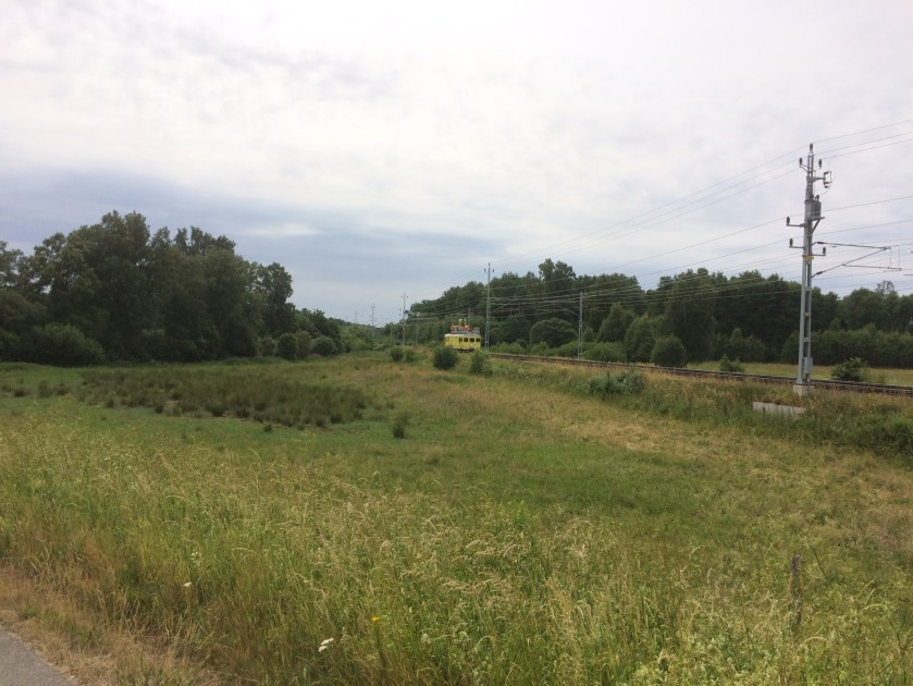 665EF845-8D76-4FDA-BCE7-A46148CCD725