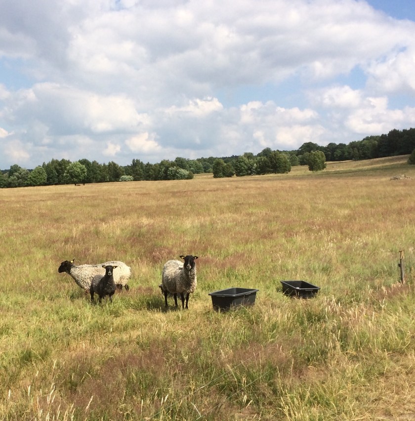 9629516C-71CC-4CF9-9B63-07FCB5F23C54