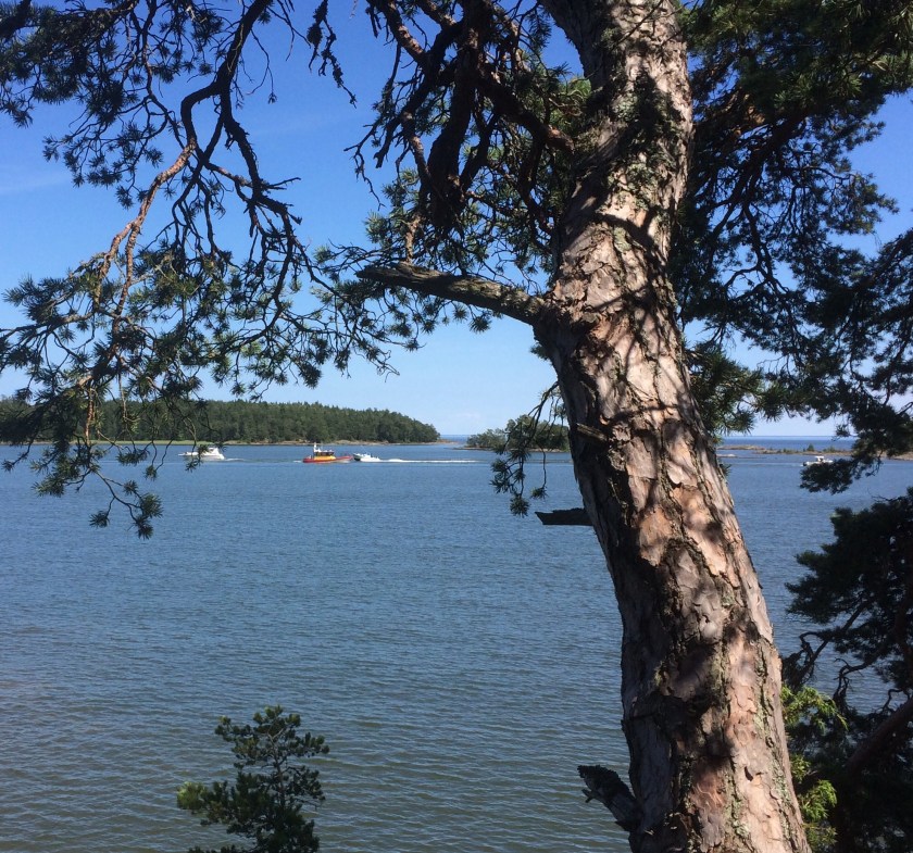 A4CBB005-AB87-4020-9DF6-C83F46145432