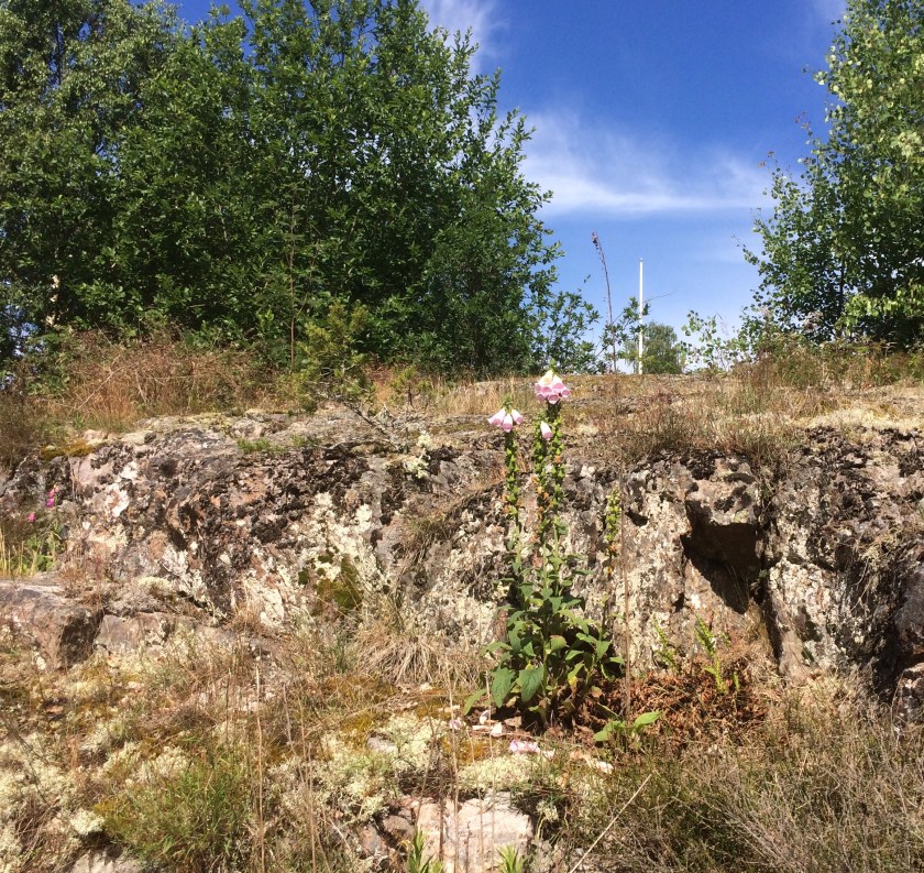 C7BCBFFA-9438-4704-9E93-60C43B957D2A