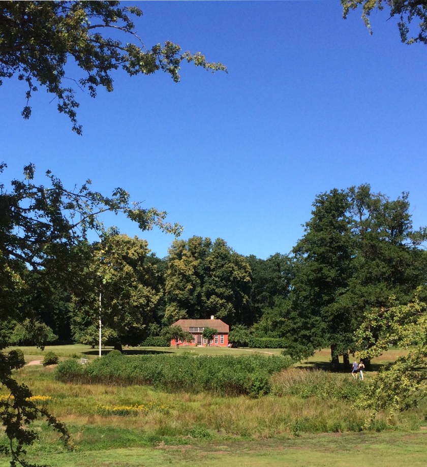 CA0BDF4E-8AE1-45E8-B831-827AABA7734D