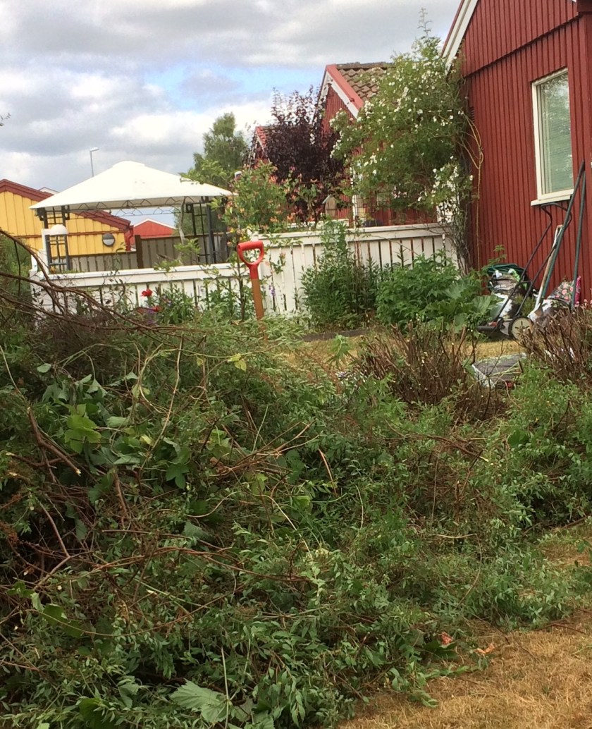 D116DE05-81A7-47EB-A3D5-00F1DAF72E47