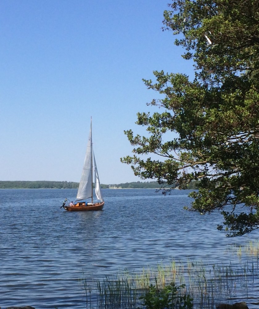 D80BD3E7-4615-4928-A851-C23263F44891