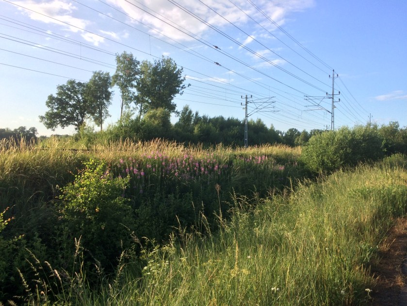 DBCE29F6-82AB-4100-A107-12AE4E084D7E