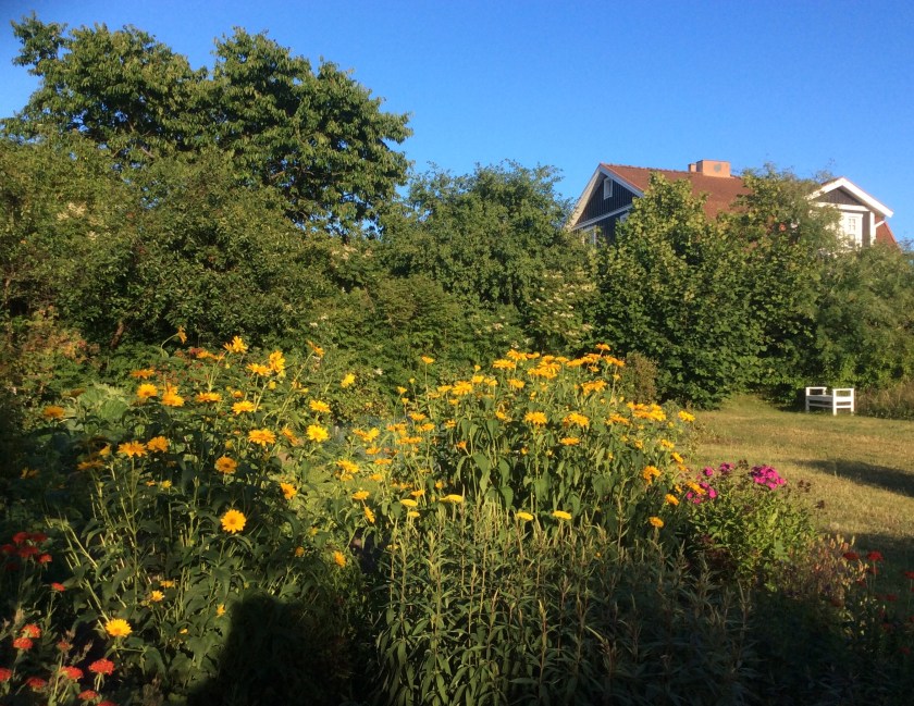 FA64CE9F-A75C-4831-A5AC-87A02D70AD66