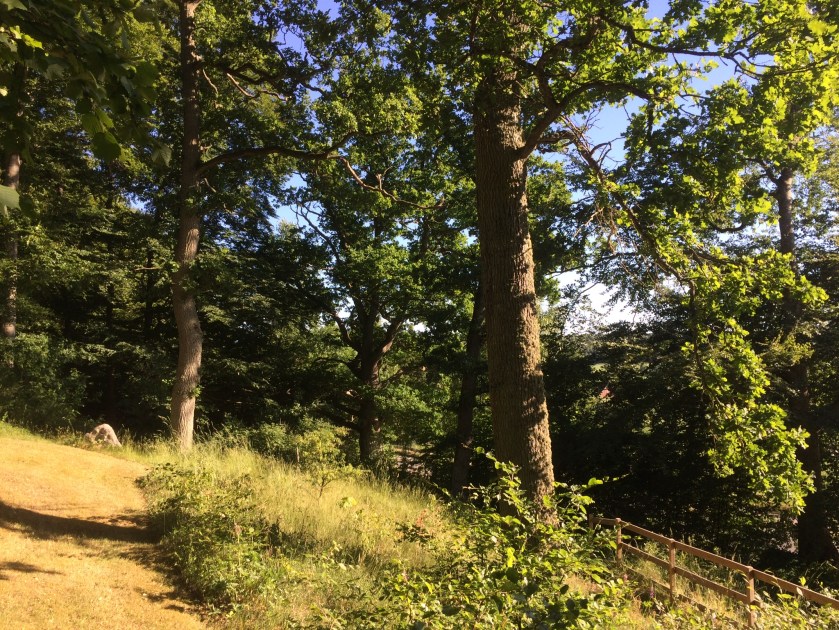 FE532938-E5DE-4A77-8837-4F0FFA425ADB